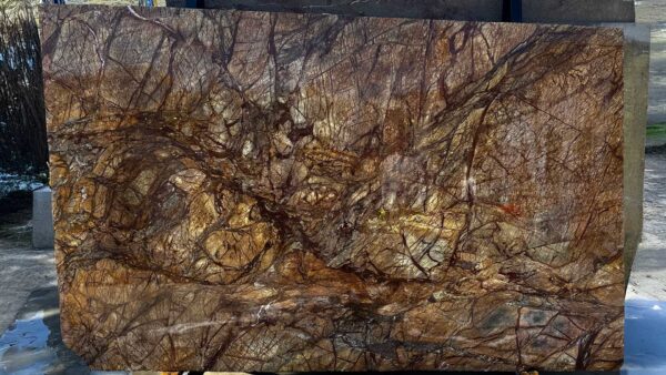 Rainforest Brown Polished 2cm